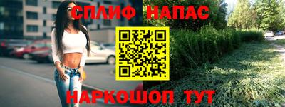 прущие грибы Краснознаменск